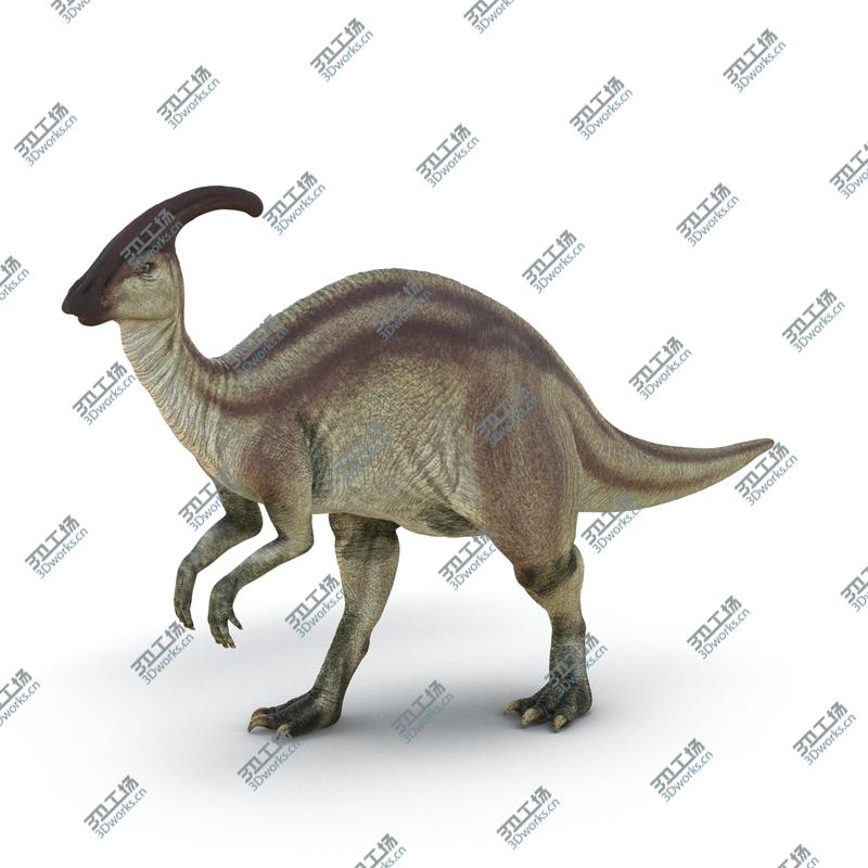 images/goods_img/202105071/Parasaurolophus Rigged for Maya/3.jpg